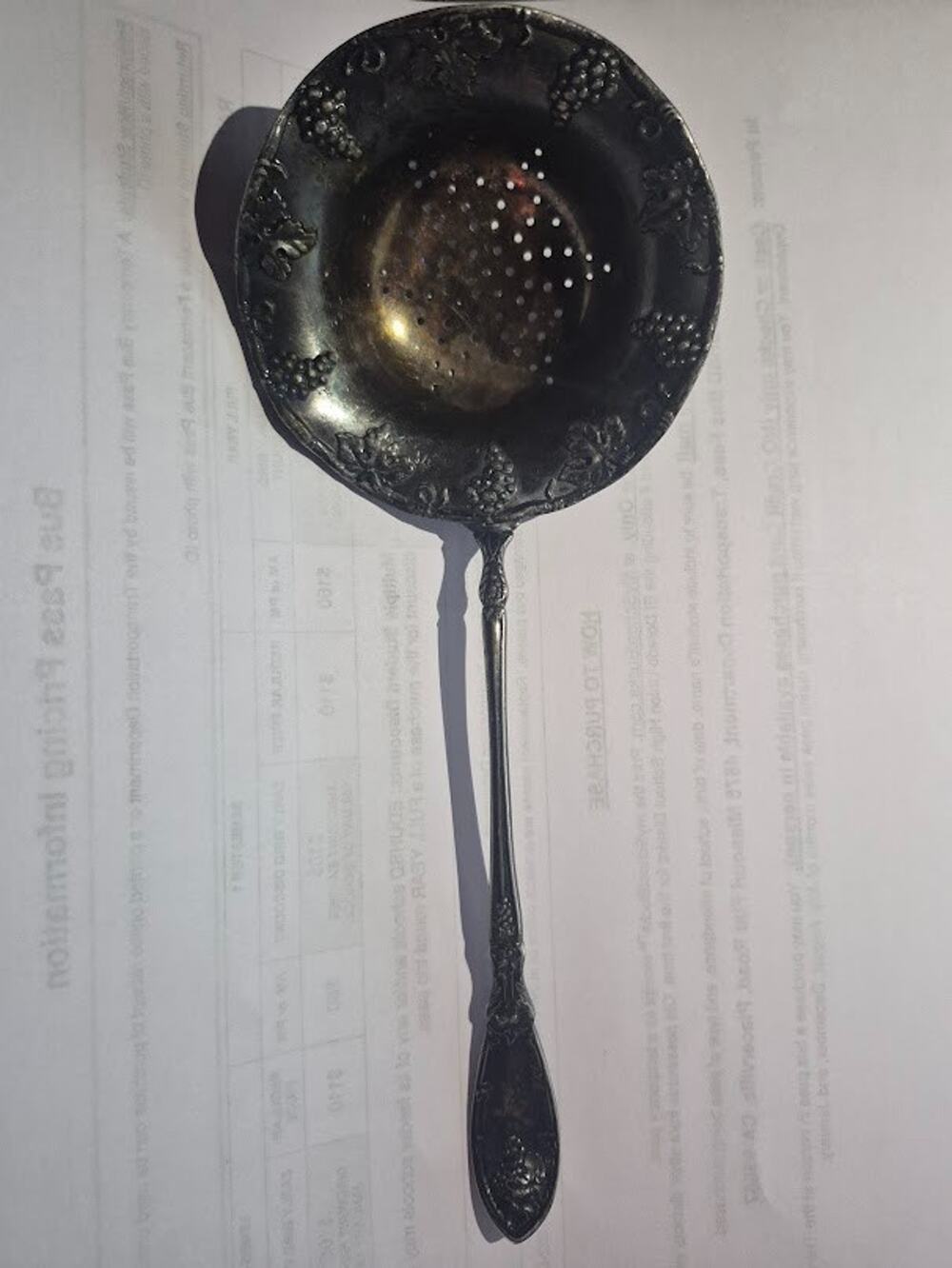 ANTIQUE 1847 ROGERS BROS VINTAGE GRAPE TEA STRAINER